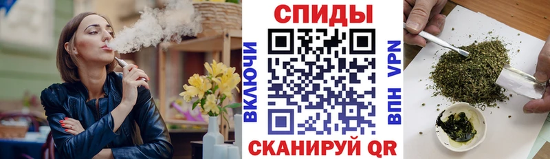 дарнет шоп  Заволжье  БУТИРАТ BDO 33% 