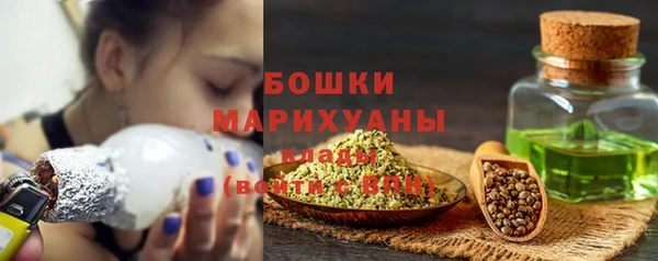 гашик Горняк