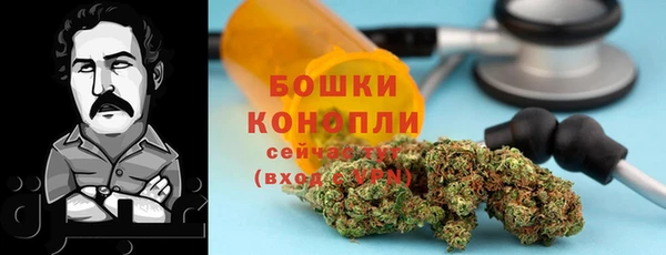 гашик Горняк