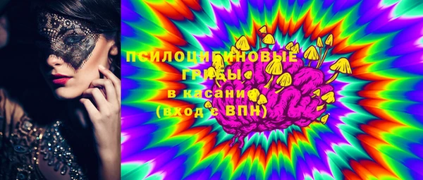 гашик Горняк