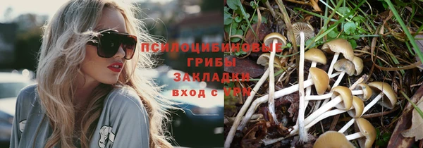 каннабис Горнозаводск
