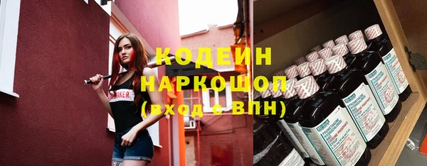 гашик Горняк