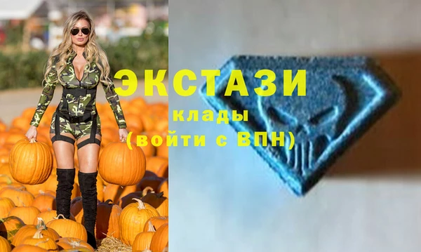 гашик Горняк
