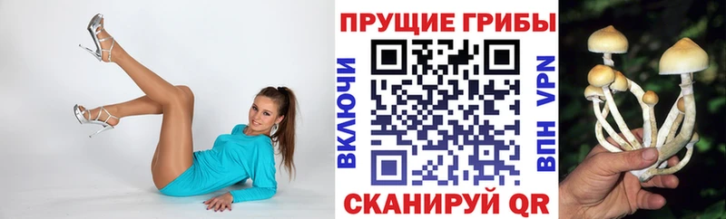 Псилоцибиновые грибы GOLDEN TEACHER  маркетплейс Telegram  Заволжье 